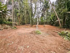 land for sale gampaha