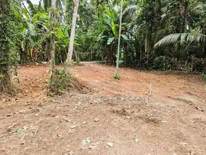 land for sale gampaha