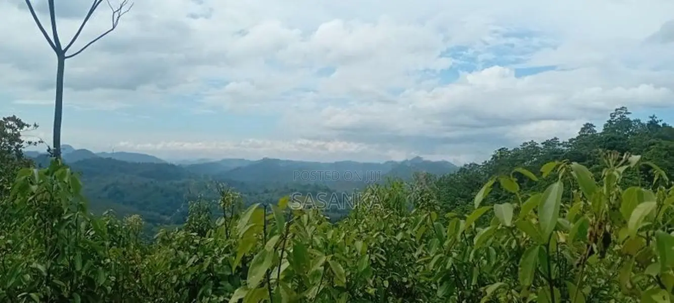 Kegalle Cinnamon Lake Front Land for Sale