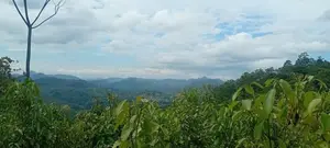 Kegalle Cinnamon Lake Front Land for Sale