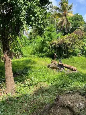 Land for Sale in Kalubowila LS-597