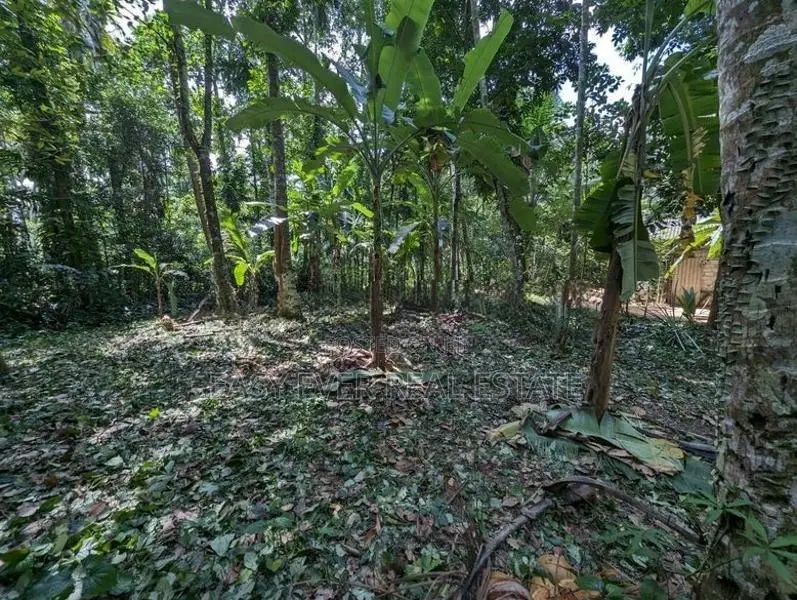 වැලිවේරිය සියළු නාගරික පහසුකම් සහිත ගස්කොළන් ඉඩමක්