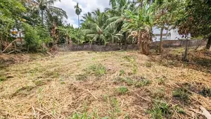 එල්ලක්කල වෙන්දේසි ඉඩමකින් ඉතාමත් සුන්දර බිම්කොටසක් විකිණීමට