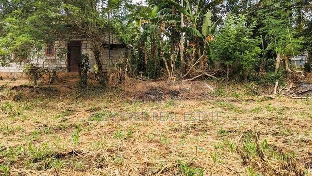 එල්ලක්කල වෙන්දේසි ඉඩමකින් ඉතාමත් සුන්දර බිම්කොටසක් විකිණීමට