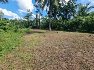 Land for Sale Minuwanoda