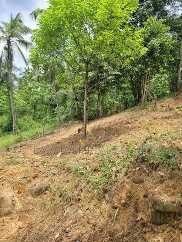 බටලීය සියළු නාගරික පහසුකම් සහිත වටිනා ඉඩම