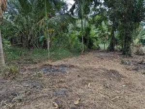 වැලිවේරියේ නව නුවර පාරට ලග වටිනා ඉඩමක්