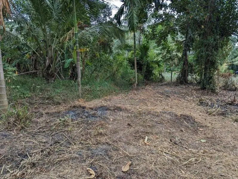 වැලිවේරියේ නව නුවර පාරට ලග වටිනා ඉඩමක්