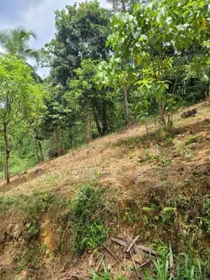 බටලීය සියළු නාගරික පහසුකම් සහිත වටිනා ඉඩම
