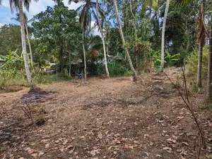 වැලිවේරියේ නව නුවර පාරට ලග වටිනා ඉඩමක්