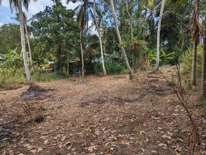 වැලිවේරියේ නව නුවර පාරට ලග වටිනා ඉඩමක්
