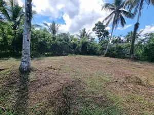 Land for Sale Minuwanoda
