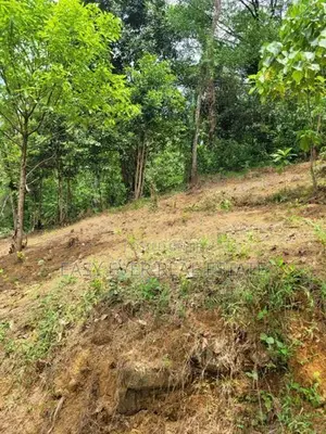 බටලීය සියළු නාගරික පහසුකම් සහිත වටිනා ඉඩම