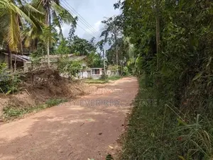 වැලිවේරියේ නව නුවර පාරට ලග වටිනා ඉඩමක්