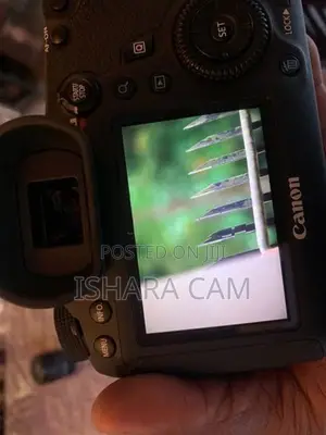 Canon 300mm F4 DSLR Prime Lens