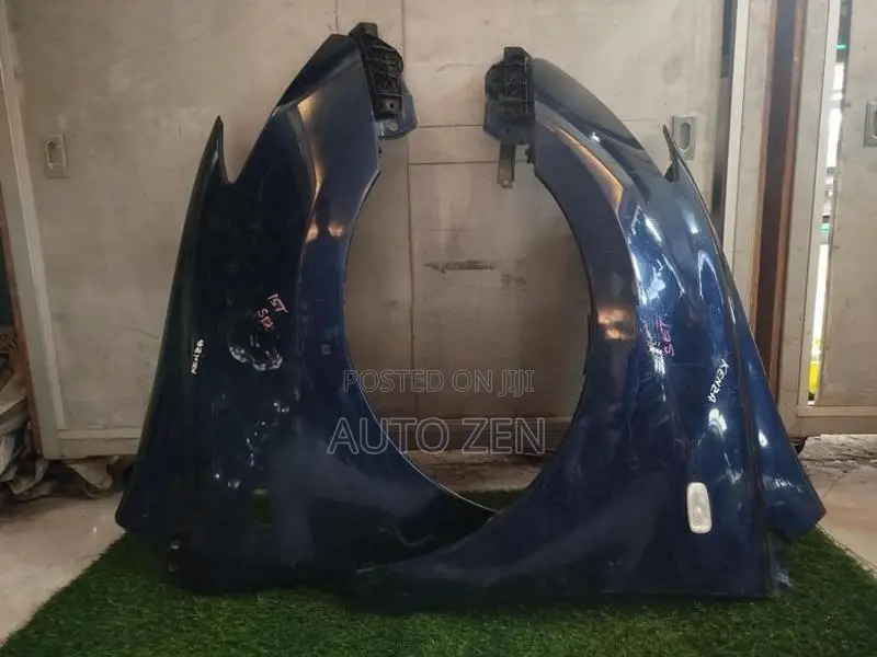 IST Fenders