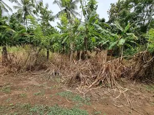 මීරිගම – කොස්ඇටදෙනිය වටිනා ඉඩම
