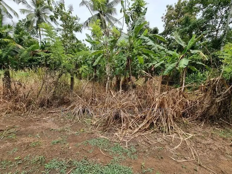 මීරිගම – කොස්ඇටදෙනිය වටිනා ඉඩම