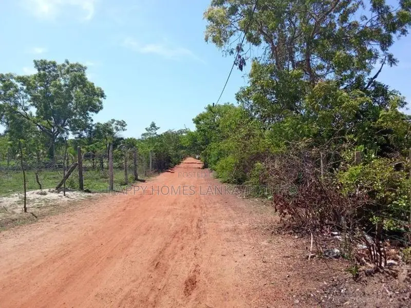 HHL1108 - Land for Sale in Kurukkalmdam