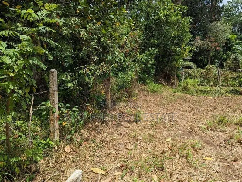 කඩවත – ඉඹුල්ගොඩ | පර්චස් 10 බිම් කොටසක්