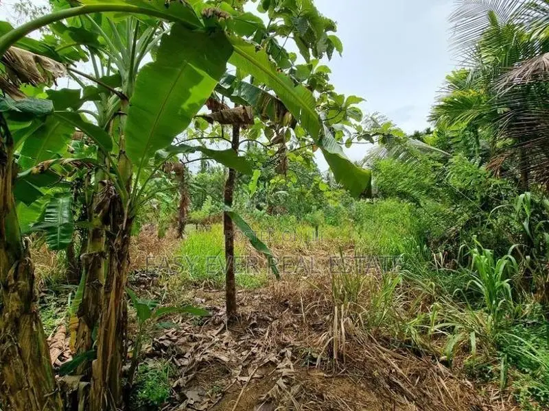 මීරිගම – කොස්ඇටදෙනිය වටිනා ඉඩම