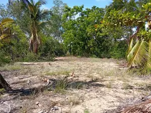 HHL1108 - Land for Sale in Kurukkalmdam