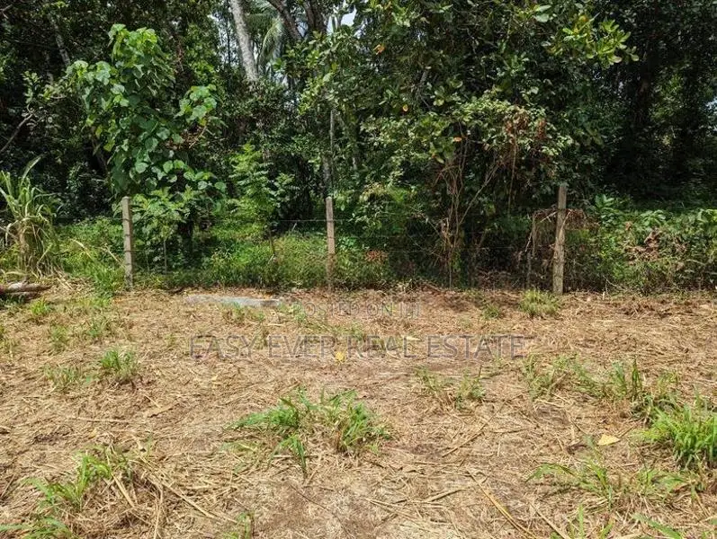 කඩවත – ඉඹුල්ගොඩ | පර්චස් 10 බිම් කොටසක්