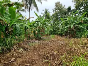 මීරිගම – කොස්ඇටදෙනිය වටිනා ඉඩම