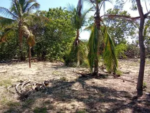 HHL1108 - Land for Sale in Kurukkalmdam