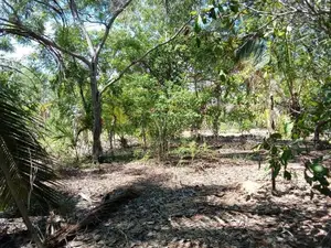HHL1108 - Land for Sale in Kurukkalmdam