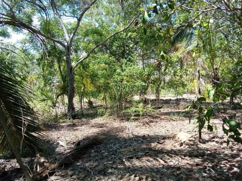 HHL1108 - Land for Sale in Kurukkalmdam