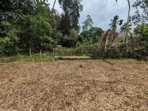 කඩවත – ඉඹුල්ගොඩ | පර්චස් 10 බිම් කොටසක්