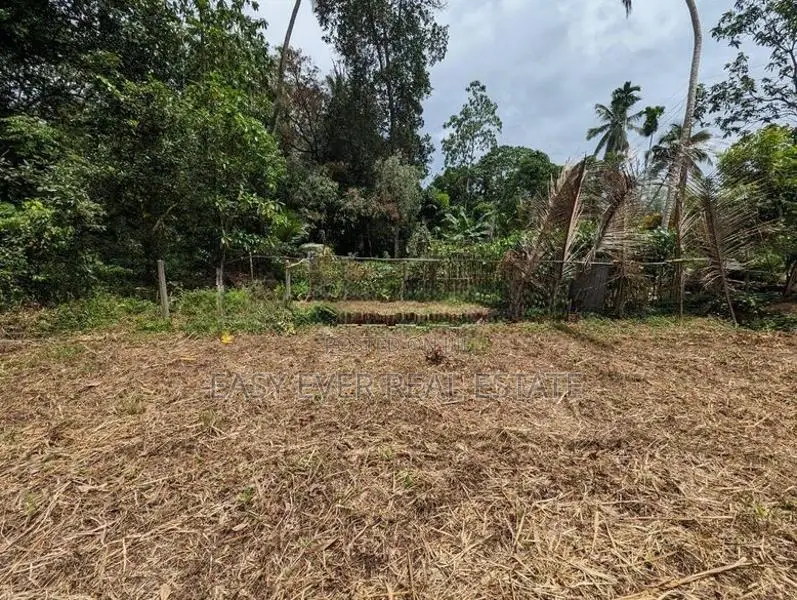 කඩවත – ඉඹුල්ගොඩ | පර්චස් 10 බිම් කොටසක්