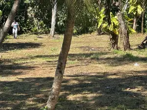 Galle Mihiripenna 35 Perches Land for Sale