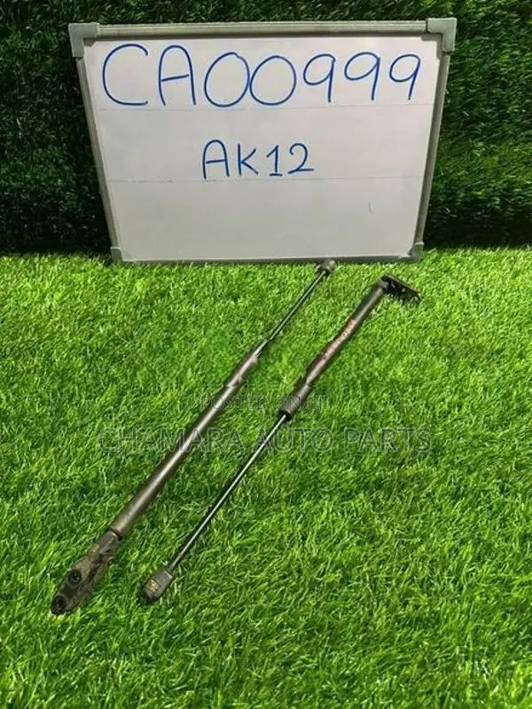 Nissan March (AK12) Dicky Shock