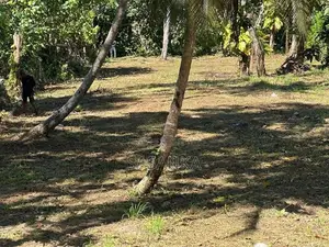 Galle Mihiripenna 35 Perches Land for Sale