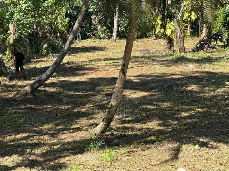 Galle Mihiripenna 35 Perches Land for Sale