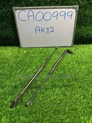 Nissan March (AK12) Dicky Shock