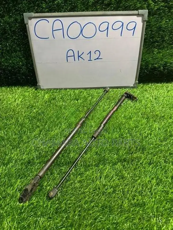 Nissan March (AK12) Dicky Shock