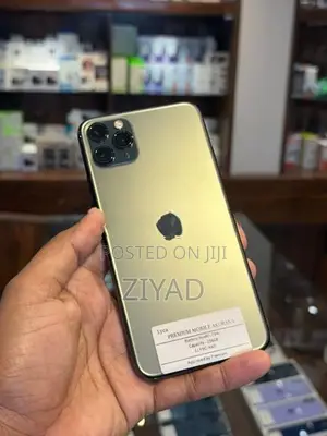 Apple iPhone 11 Pro Max 256GB (Used)