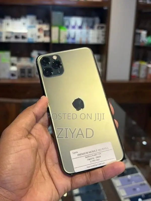 Apple iPhone 11 Pro Max 256GB (Used)