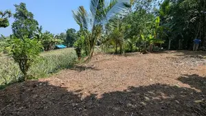 ‎කිරිදිවැල නගරයයට නුදුරින් සුන්දර වටපිටාවක වටිනා බිම් කොටසක්