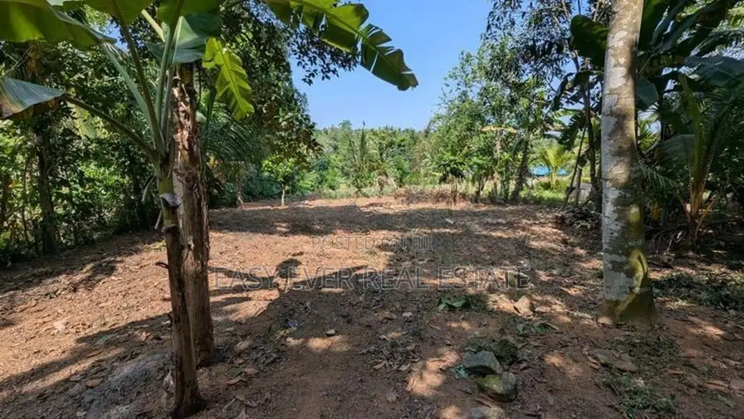 ‎කිරිදිවැල නගරයයට නුදුරින් සුන්දර වටපිටාවක වටිනා බිම් කොටසක්