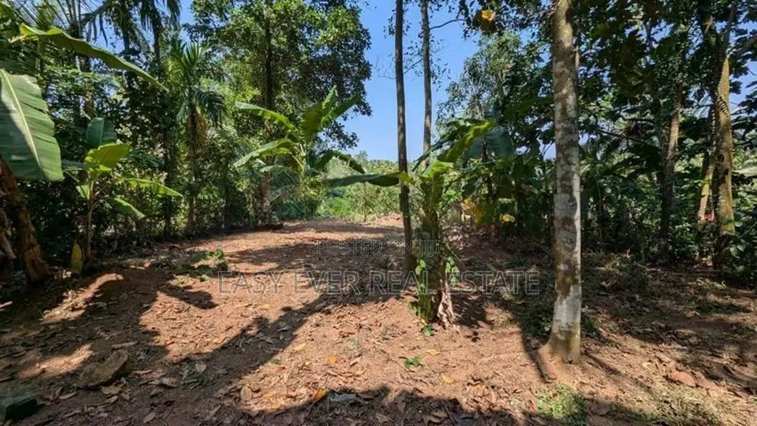 ‎කිරිදිවැල නගරයයට නුදුරින් සුන්දර වටපිටාවක වටිනා බිම් කොටසක්