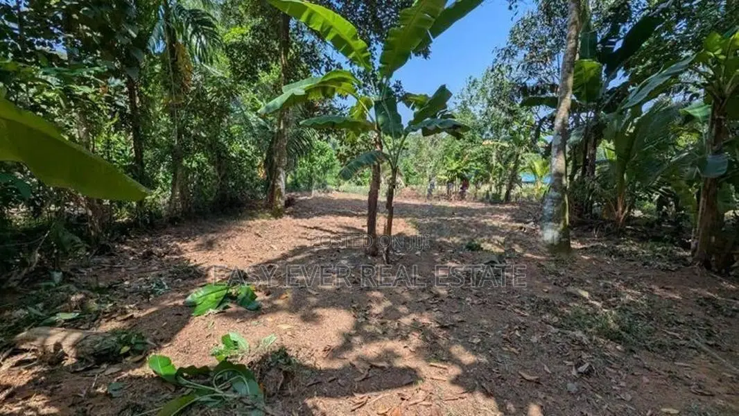 ‎කිරිදිවැල නගරයයට නුදුරින් සුන්දර වටපිටාවක වටිනා බිම් කොටසක්