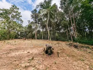 Land for Sale Wathupitiwala