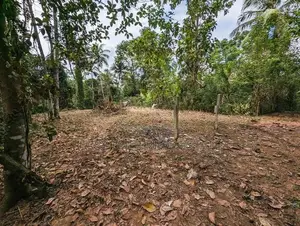 Land for Sale Wathupitiwala