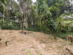 Land for Sale Wathupitiwala