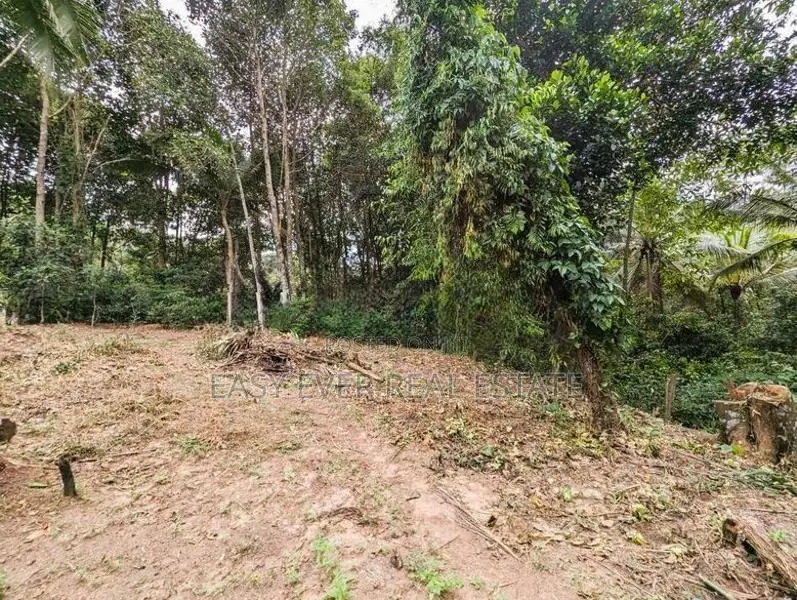 Land for Sale Wathupitiwala