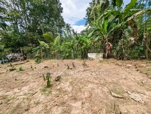 Land for Sale Wathupitiwala